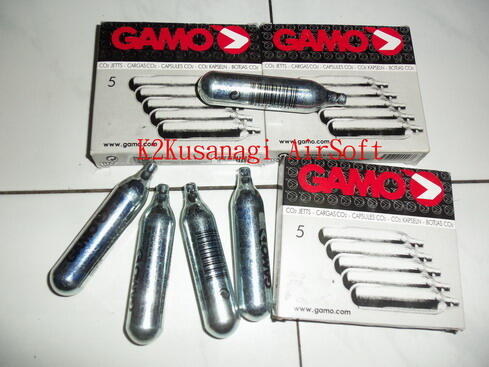 WTS GAS CO2GAMO