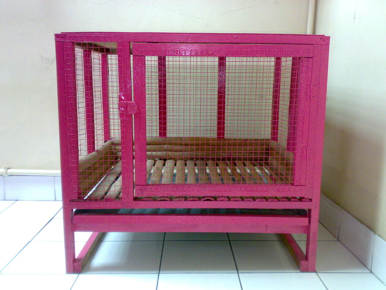 Kelinci Ras, kandang, pelet, obat2an.