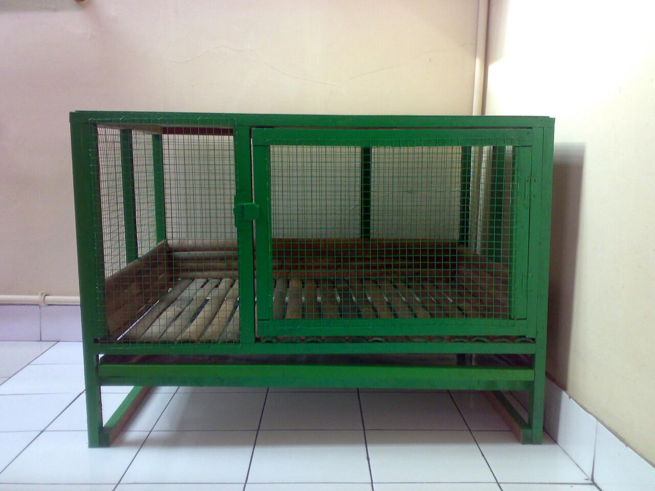 Kelinci Ras, kandang, pelet, obat2an.