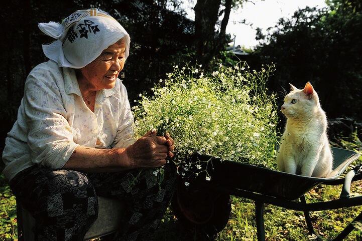 Kisah mengharukan antara Nenek Misao dan Fukumaru kucingnya