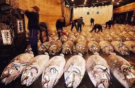 Pasar Ikan di Jepang Gan