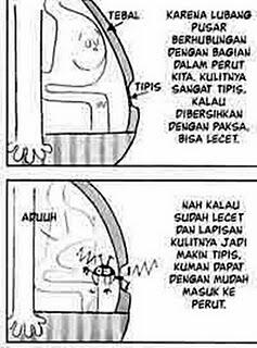 Agan Wajib Tahu Nih Bahwa...