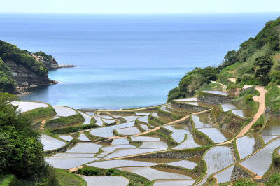 Amazing ! foto2 pemandangan sawah bisa begini!