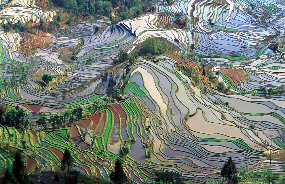 8 Pemandangan Sawah Terdahsyat Di Dunia