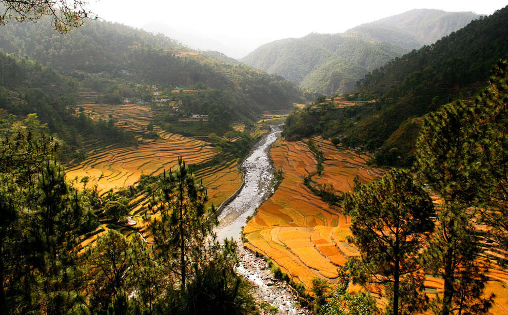 8 Pemandangan Sawah Terdahsyat Di Dunia