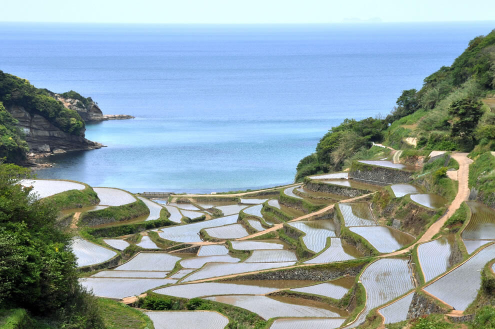 8 Pemandangan Sawah Terdahsyat Di Dunia