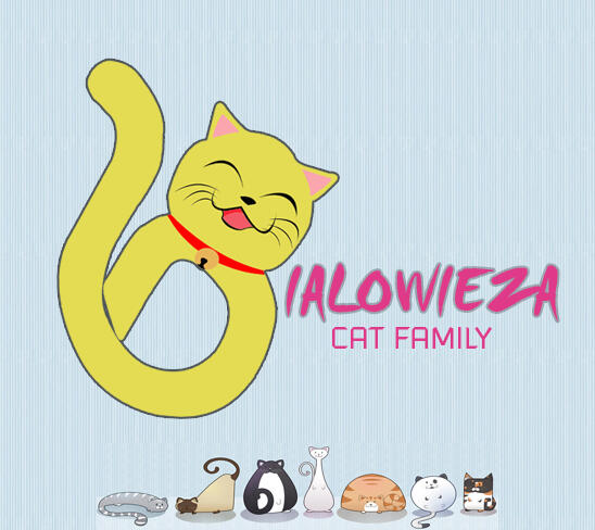 = BIALOWIEZA CAT FAMILY=