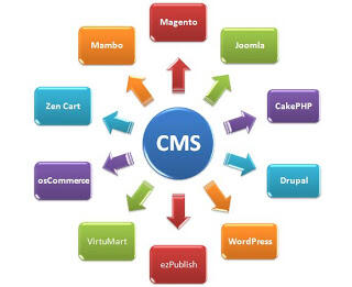 Pengertian CMS