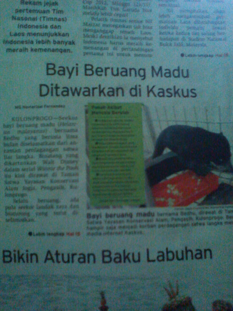 Ada Yang Mencemarkan Nama KASKUS gan!