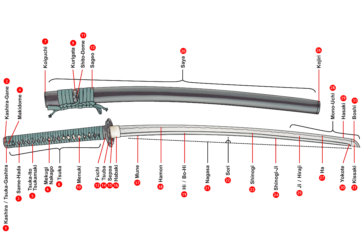 Japanese Katana VS European Longsword