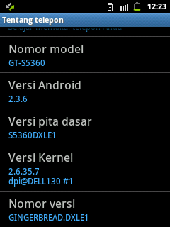 Santai Samsung Galaxy Y + Bonus Micro SD {Semarang}