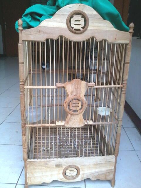 Pentet Jatim Glatik Batu Kenari AF..istimewa..