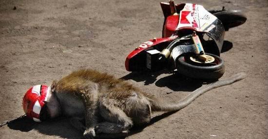 akibat ugal2an meninggal muda gan &#91;MIRIS&#93;