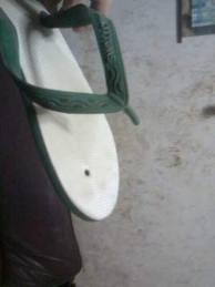 sandal termahal gan