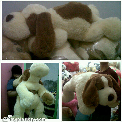 Boneka Teddy Bear, Sapi, Hello Kitty, Angry Birds, Winnie The Pooh, Pinguin, Doggy 