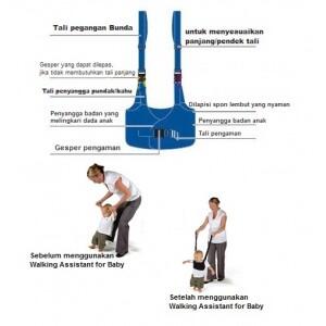 Alat Bantu Bayi Belajar Jalan/Baby Walker