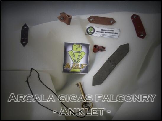 AGF - Falconry Equipment - anklet jesse leash dll