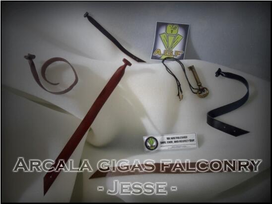 AGF - Falconry Equipment - anklet jesse leash dll