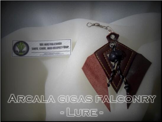 A.G Falconry - Glove and Lure