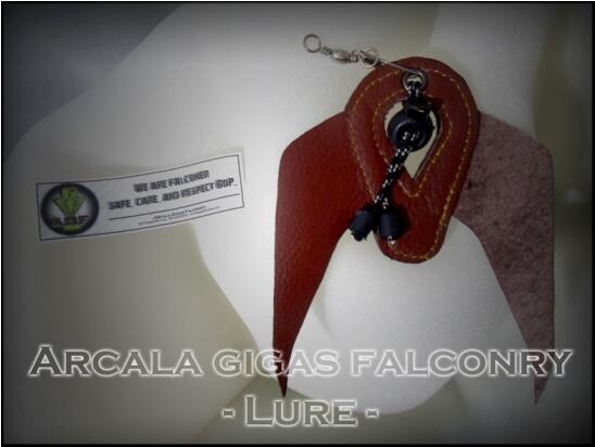 A.G Falconry - Glove and Lure