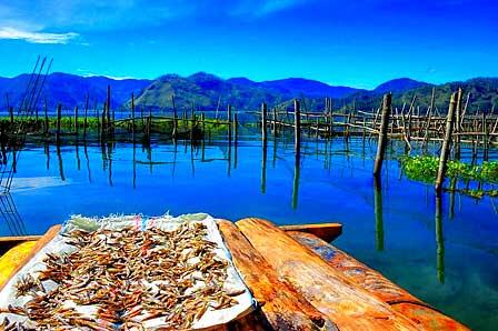 Takengon, Negeri di Atas Awan (Aceh)