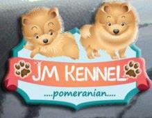 WTS > Mini Pom Putih jantan & betina berkualitas bloodline import