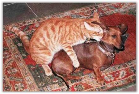 &#91;Pic&#93;&#91;BB++&#93; Ni akibatnya kebanyakan nonton Film Porno...