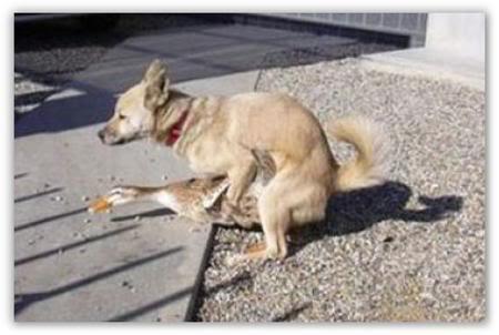 &#91;Pic&#93;&#91;BB++&#93; Ni akibatnya kebanyakan nonton Film Porno...