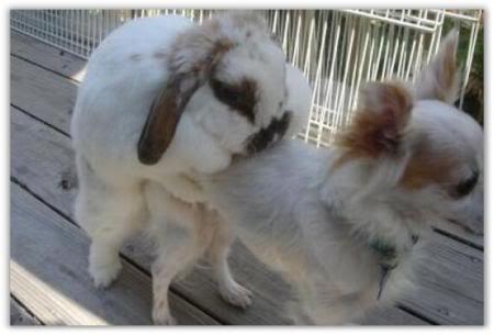 &#91;Pic&#93;&#91;BB++&#93; Ni akibatnya kebanyakan nonton Film Porno...