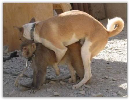 &#91;Pic&#93;&#91;BB++&#93; Ni akibatnya kebanyakan nonton Film Porno...