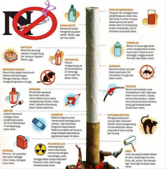 7 FAKTOR BIKIN TELINGA BUDEG