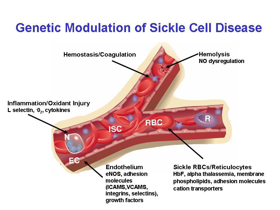7 FAKTOR BIKIN TELINGA BUDEG