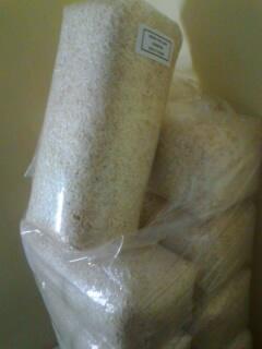 landak mini dan serbuk kayu