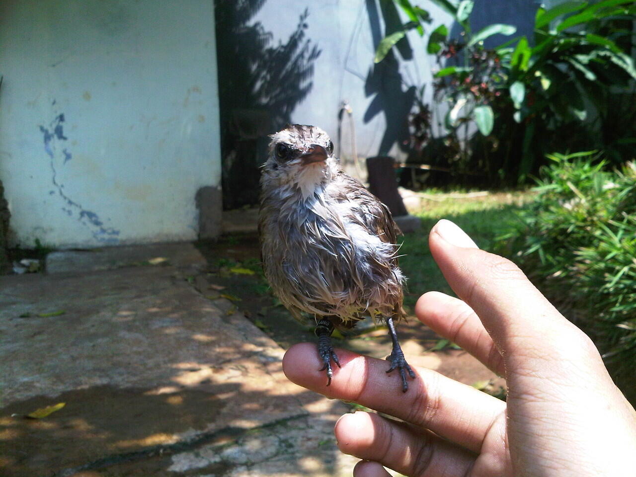 Trucukan Lover Page 49 Kaskus