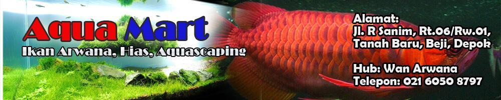 AQUA MART SPESIALIS AROWANA AQUASCAPING BEJI TANAH BARU JALAN RADEN ANIM