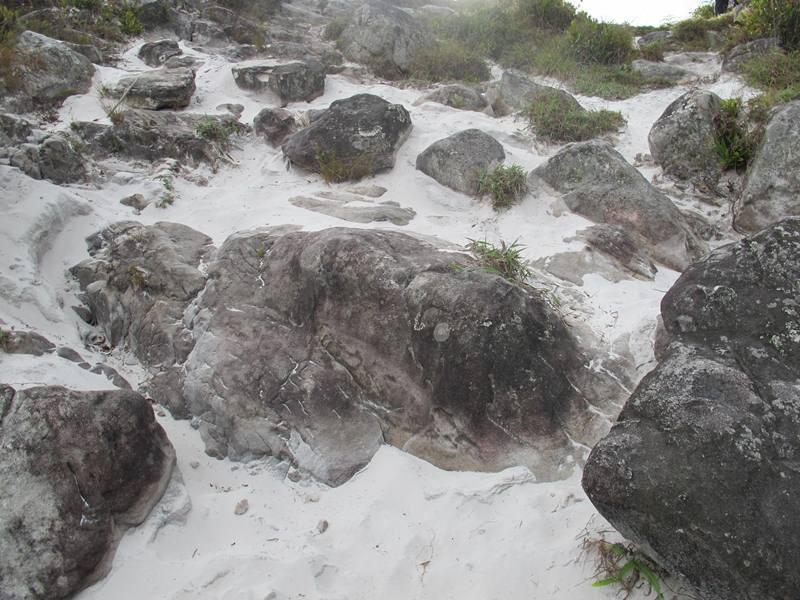 &#91;Travel&#93; Ajaib! Papua Punya 'Pantai' di Atas Bukit