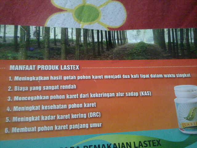 <b> LASTEX 500GRAM For </b>