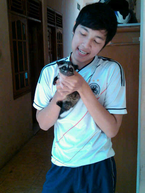 Musang Pandan ujung ekor PUTIH