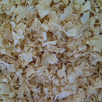 SERBUK KAYU PINUS