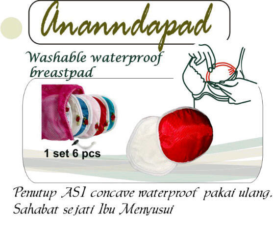 Cloth Diaper Ananndapers dan Perlengkapan Lainnya > MURAH