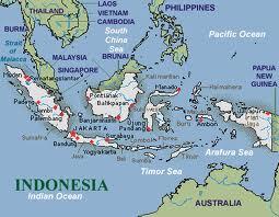 Mengenal Burung Mandar Gendang (Habroptila walacii) dari Halmahera