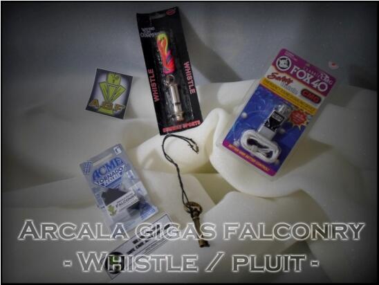 A.G Falconry - Glove and Lure
