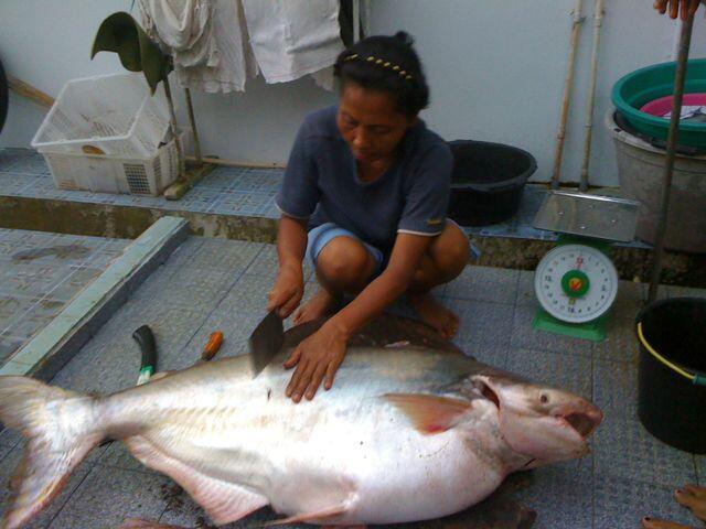Akhirnya hari ini ane kaskuser gan setelah 4 tahun :)) wkwkwkwk