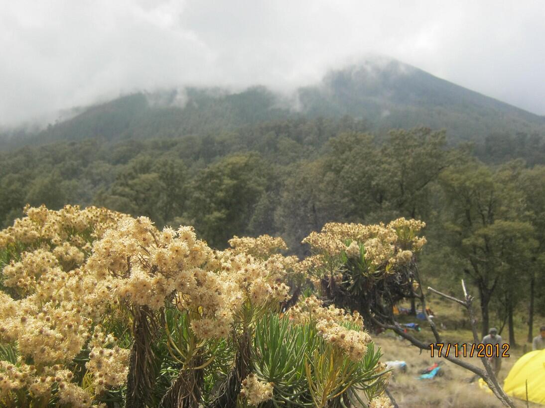 (FR) pendakian ke gunung semeru 3.676 mdpl