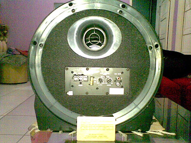 Jual Subwoofer Aktif "Skeleton" 10"
