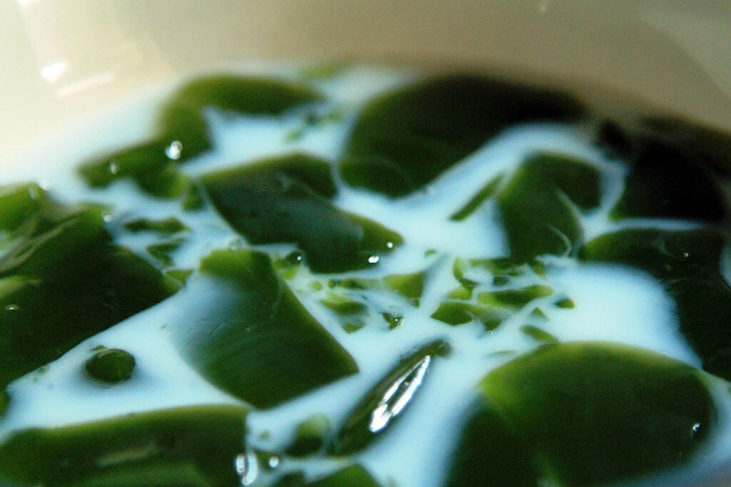 Yang Mau Cendol, Masuk Gan!! banyak Manfaat..