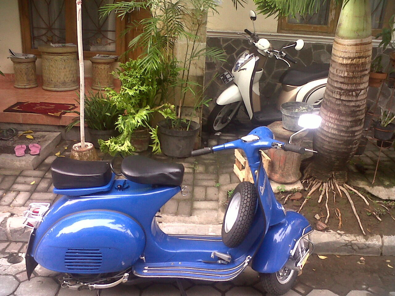 SUPER 61 Purwokerto - Jogja