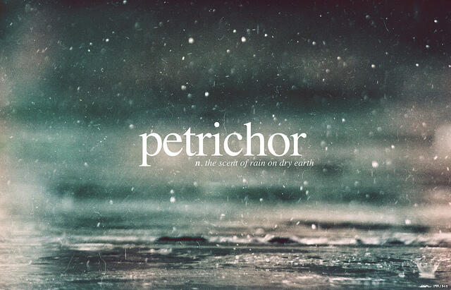 Petrichor, kejutan stelah hujan, bau penghanyut pikiran bawah sadar