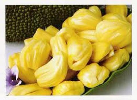 Inilah 10 Manfaat Nangka Bagi Kesehatan Tubuh Kita