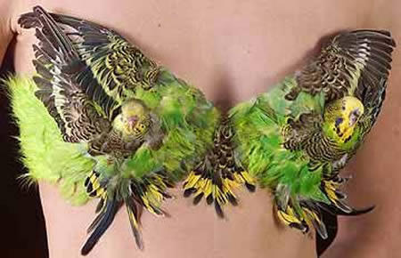 10 Model Bra (Kutang) Paling Kreatif di Dunia